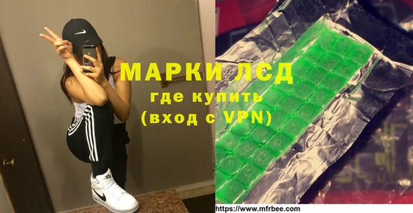 индика Слюдянка