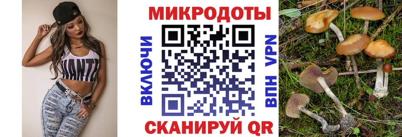 сколько стоит  Калачинск  omg сайт  Галлюциногенные грибы прущие грибы 